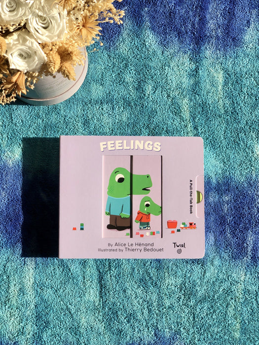 Pull and Play Books: Feelings